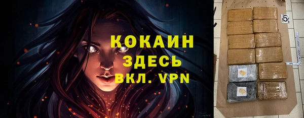 шишки Бородино