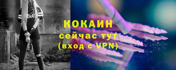 шишки Бородино