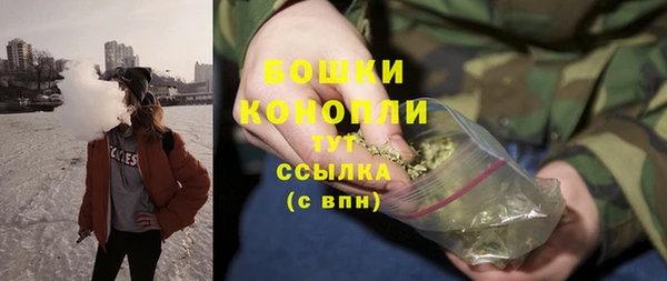 шишки Бородино