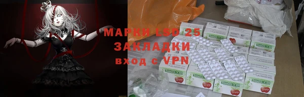 шишки Бородино