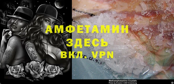 шишки Бородино