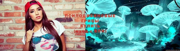 крисы Бугульма