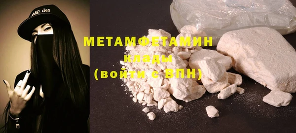 шишки Бородино