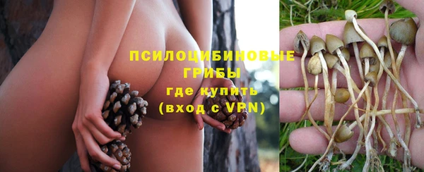 ешки Бронницы