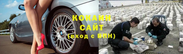 шишки Бородино