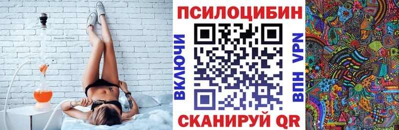 omg вход  Первоуральск  Псилоцибиновые грибы Psilocybe 